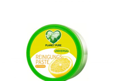 Universal Reinigungs-Paste Frische Zitrone 300g